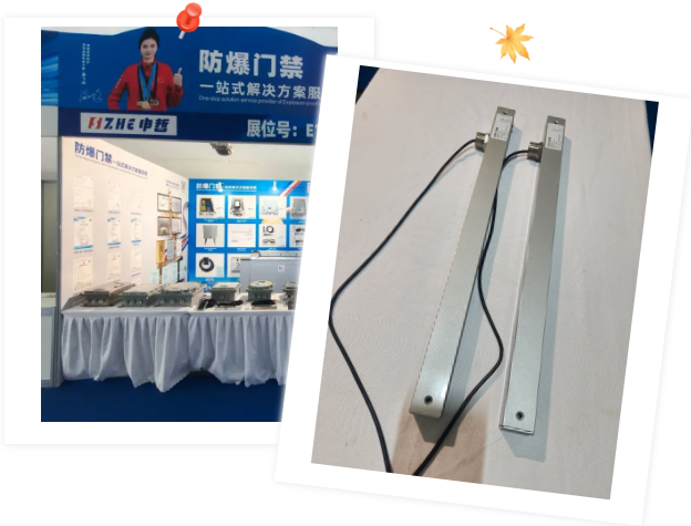 1731311624182227.png image.png